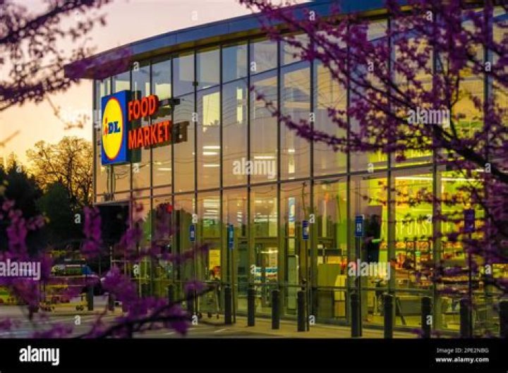 Is Lidl coming to Georgia?