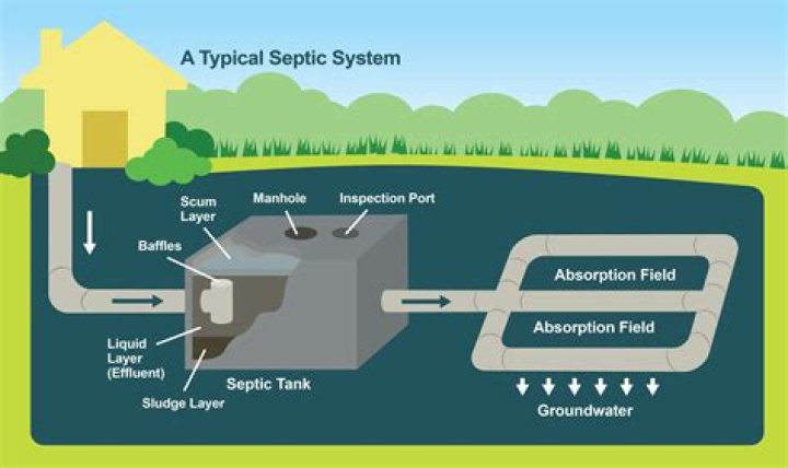 Is liquid soap bad for septic systems?
