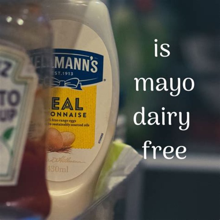 Is Mayo a dairy?