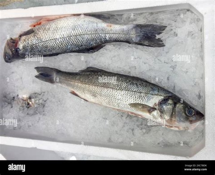 Is Mediterranean sea bass high in mercury?