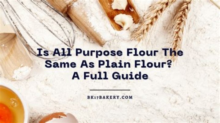Is OO flour the same as plain flour?