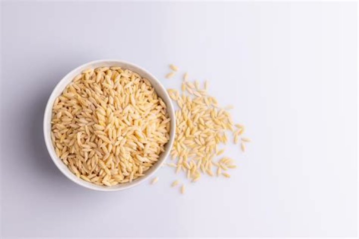 Is Orzo a noodle?