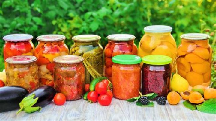 Is Pickle a fruit?