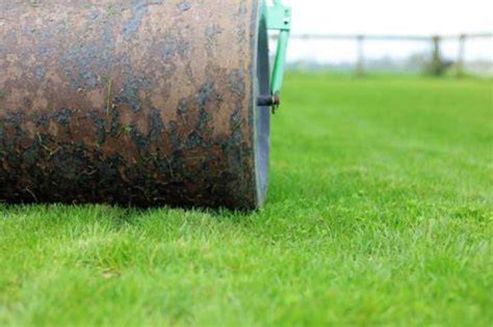Is rolling your lawn good or bad?