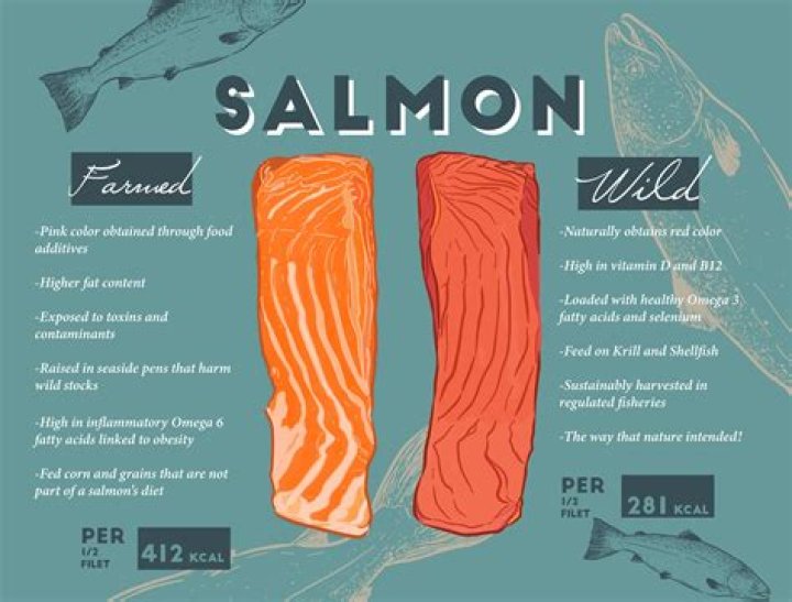Is Salmon pronounced Samon or salmon?