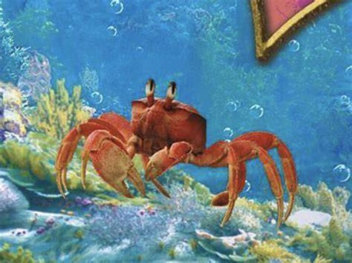 Is Sebastian a hermit crab?