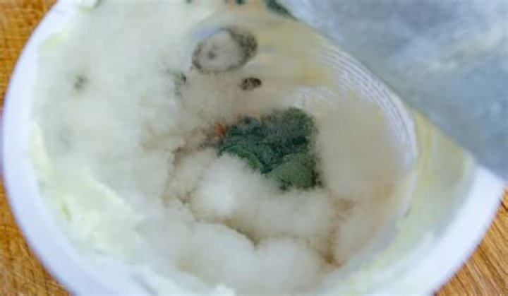 Is sour cream bad if it’s watery?