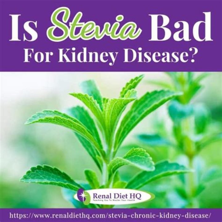 Is Stevia bad for your kidneys?