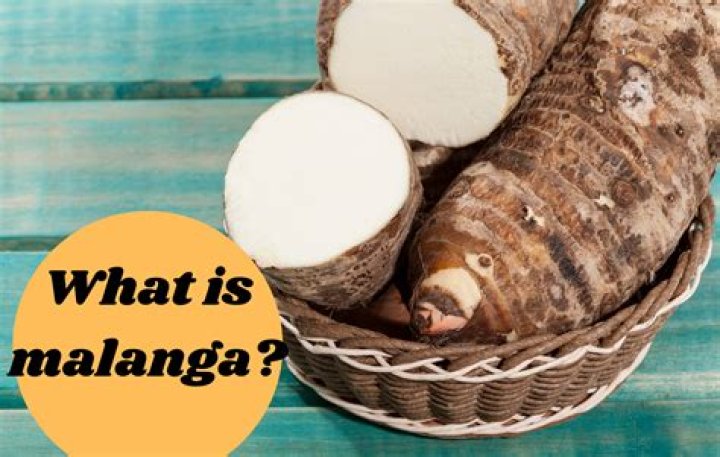 Is Taro the same as malanga?