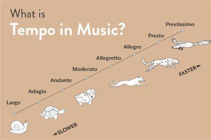 Is Tempo safe for humans?