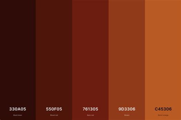 Is Terracotta burnt orange?