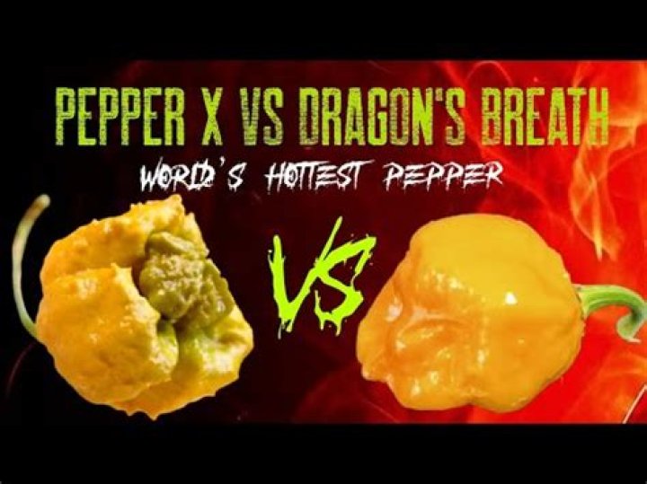 Is the Dragon’s Breath pepper hotter than the Carolina Reaper?
