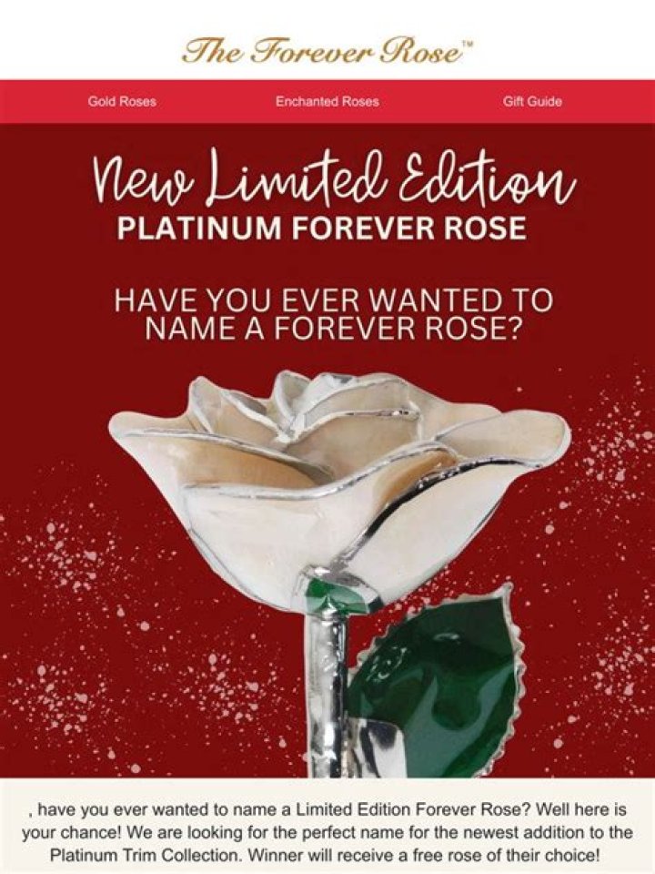 Is The Forever Rose legit?