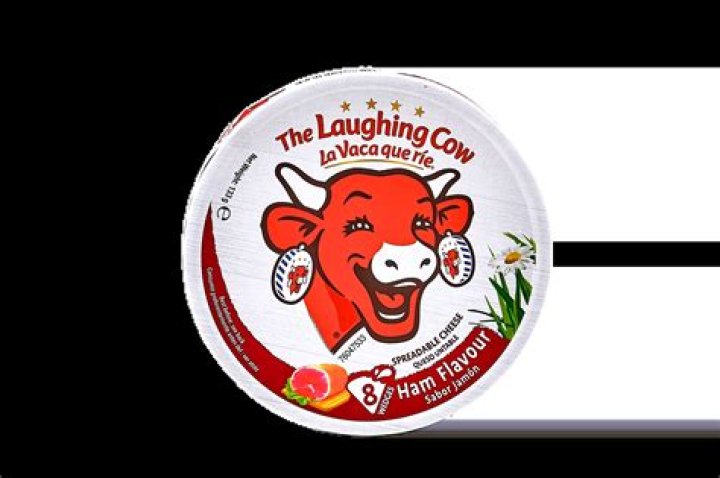 Is the Laughing Cow cheese processed?