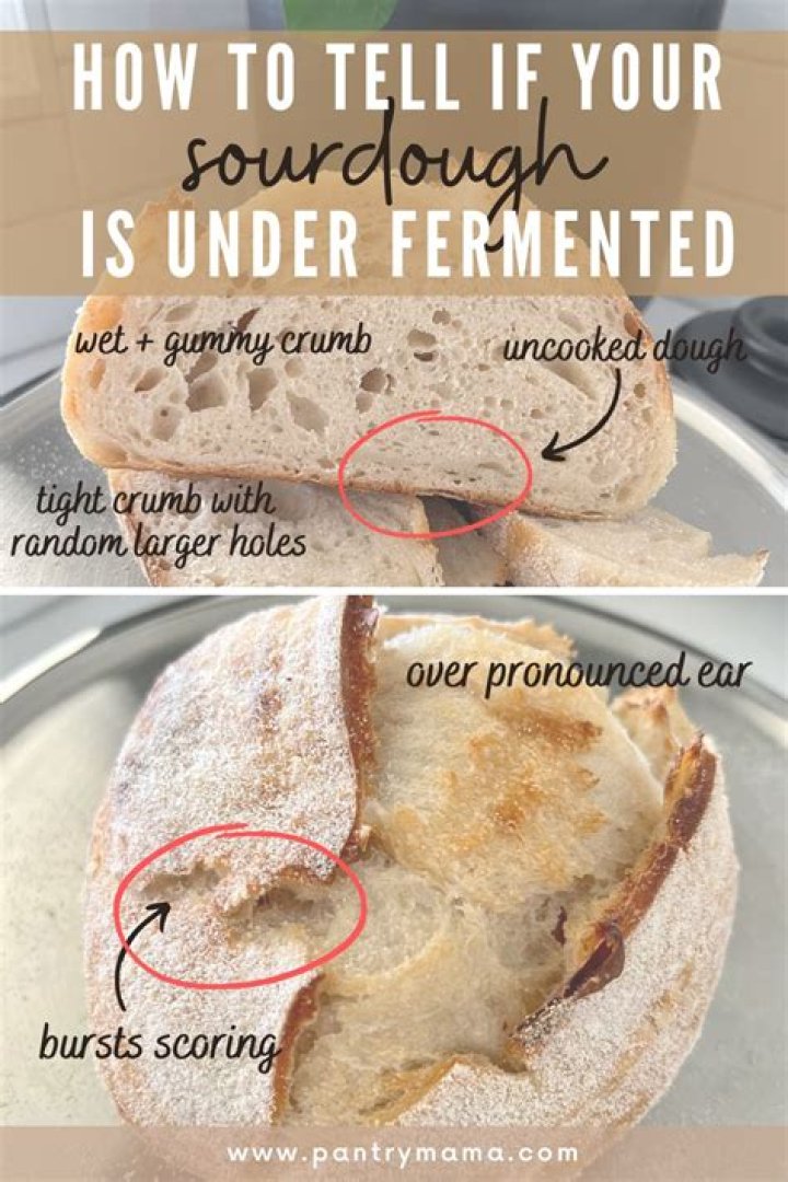 Is the Sourdough King still available?