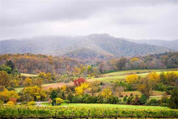 Is there a Carrabba’s in Charlottesville Virginia?