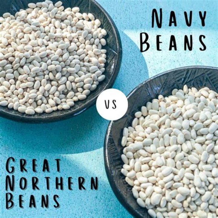 Is there another name for Great Northern beans?