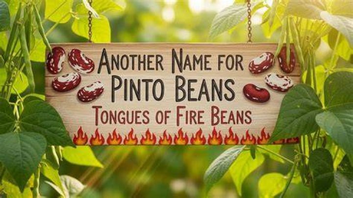 Is there another name for pinto beans?