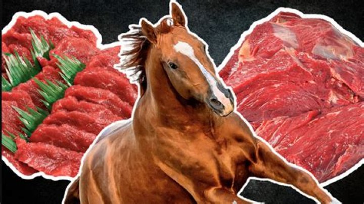 Is there horse meat in ground beef?