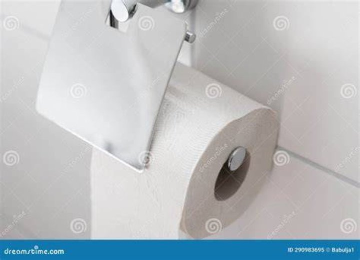 Is toilet paper part of toiletries?