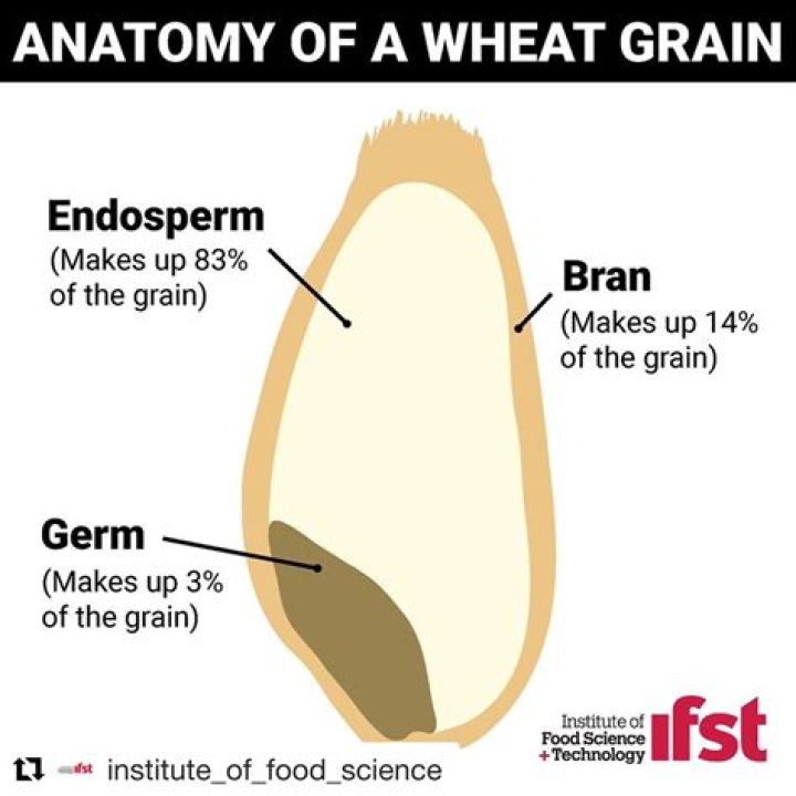 Is wheat germ inflammatory?