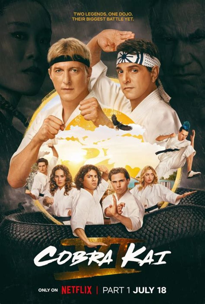 Netflix: after Cobra Kai, this martial arts film with Keanu Reeves will captivate you