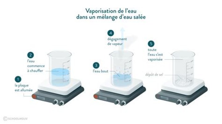 Pourquoi l’eau salée Est-elle dangereuse ?