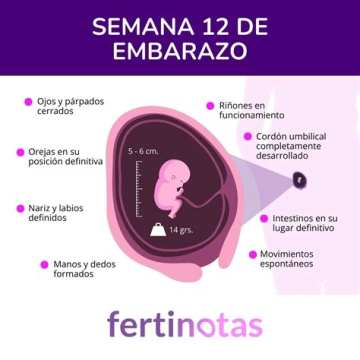 ¿Qué se siente en la semana 12 de embarazo?