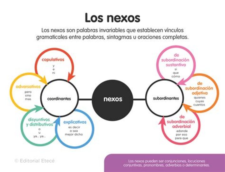¿Qué son los nexos y ejemplos?