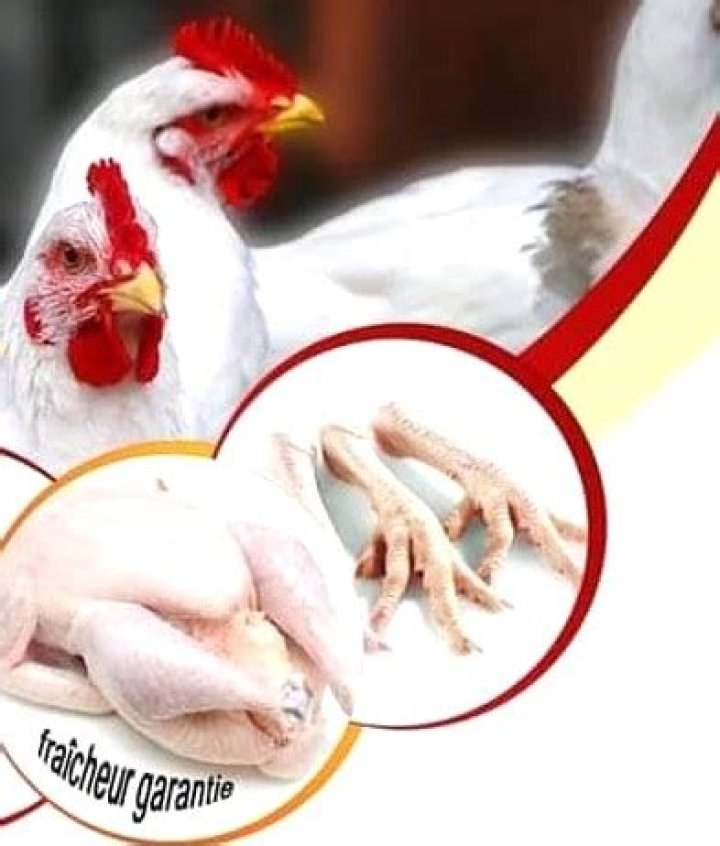 Quel est le poids d’un poulet ?