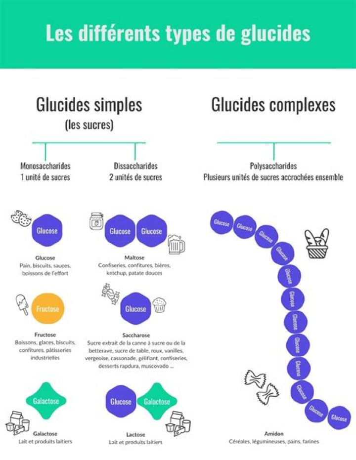 Quelle est la différence entre un sucre lent et un sucre rapide ?