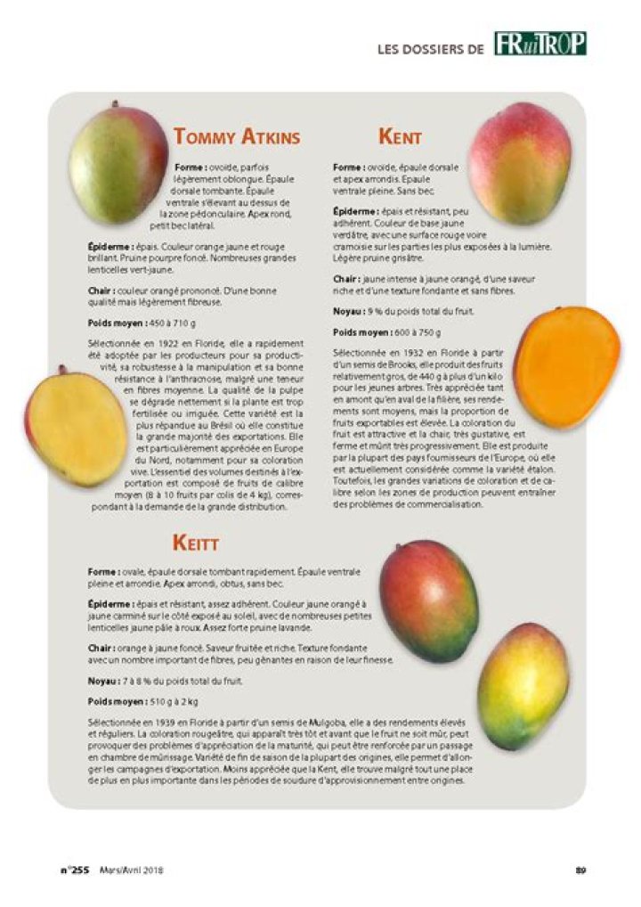 Quelle est la meilleure variété de mangue ?