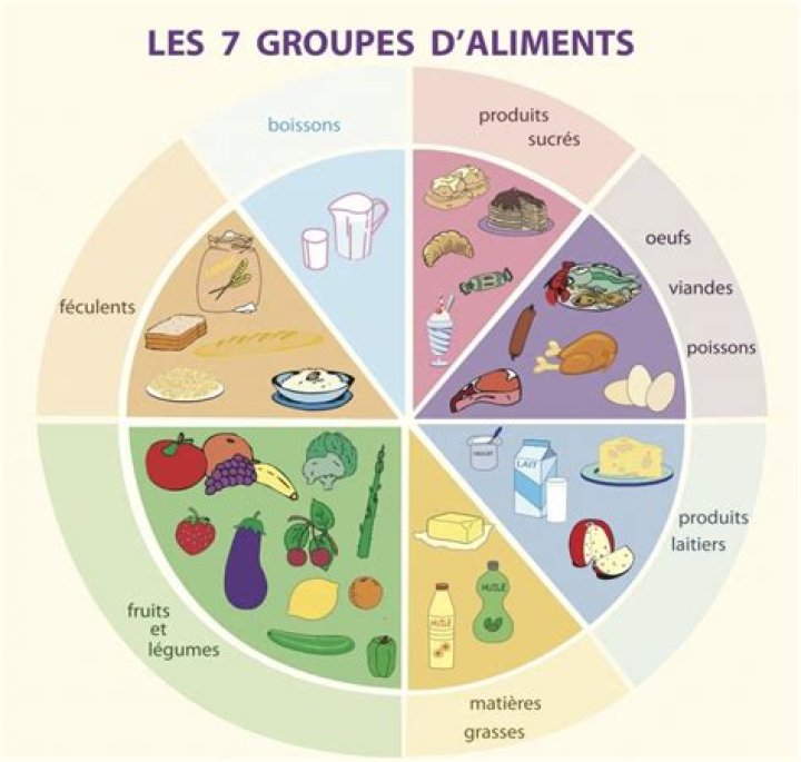 Quelles sont les groupes alimentaires ?