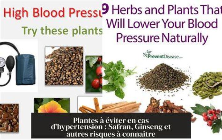 Quelles sont les plantes à éviter en cas d’hypertension ?