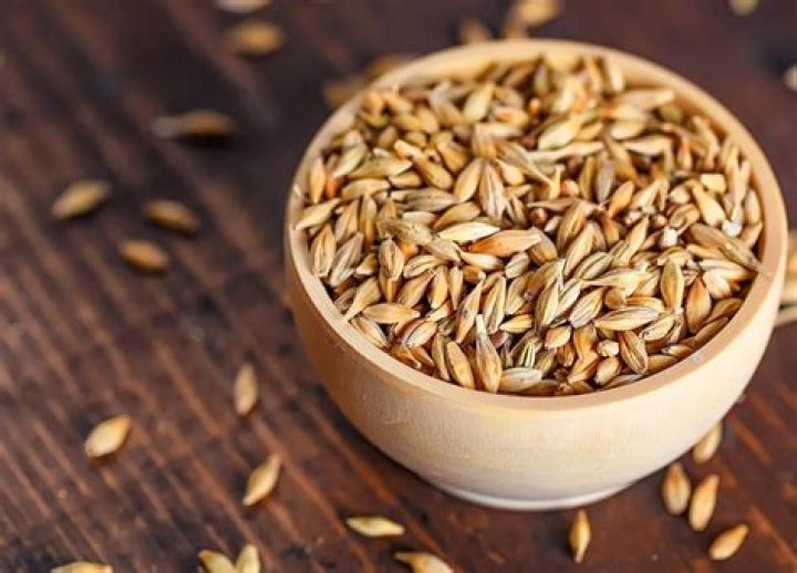 Quels sont les bienfaits de l’orge ?