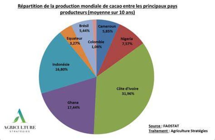 Qui est le premier producteur de cacao en Afrique ?