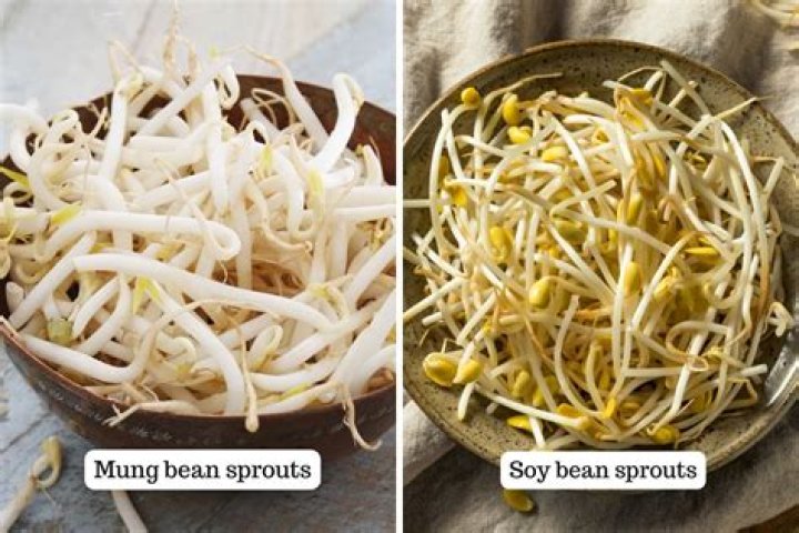 Should I drain canned bean sprouts?