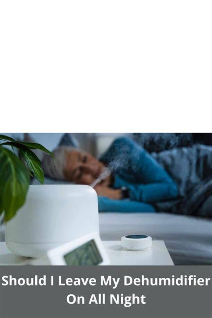 Should I leave my dehumidifier on all night?