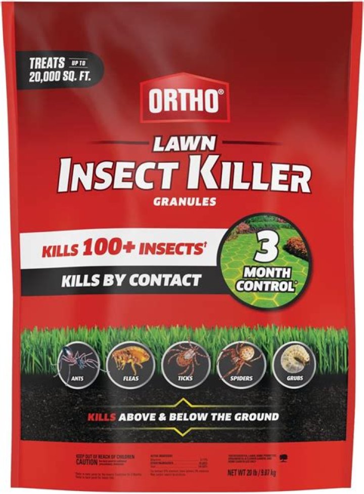 Should I use insect killer on my lawn?