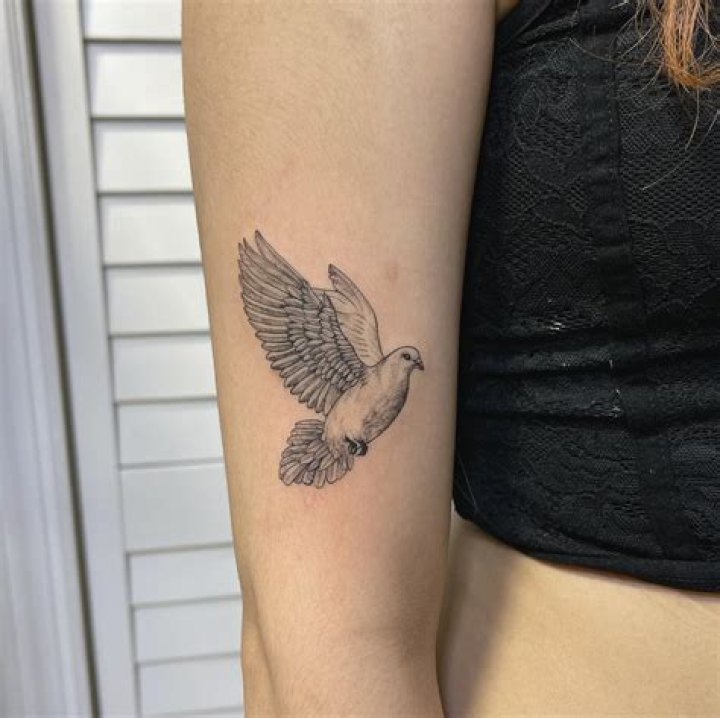 small dove tattoo meaning Archives | PopularAsk.net