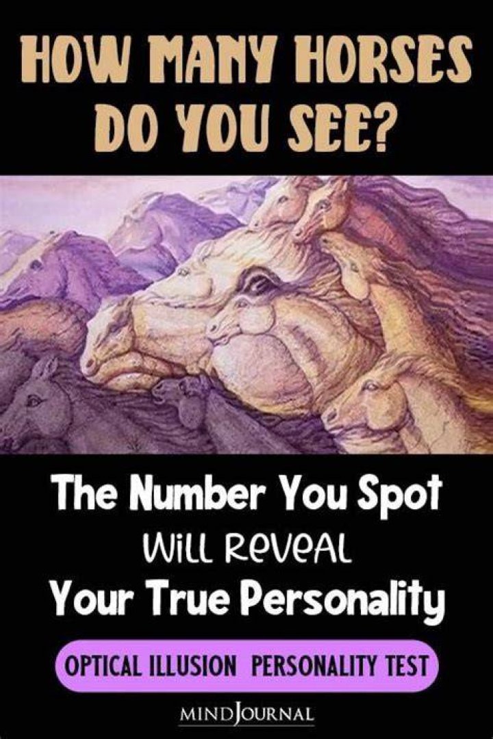 Test: The number of horses you see will reveal your analytical skills