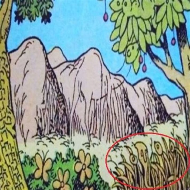 Visual challenge: Can you see the 6 hidden animals?