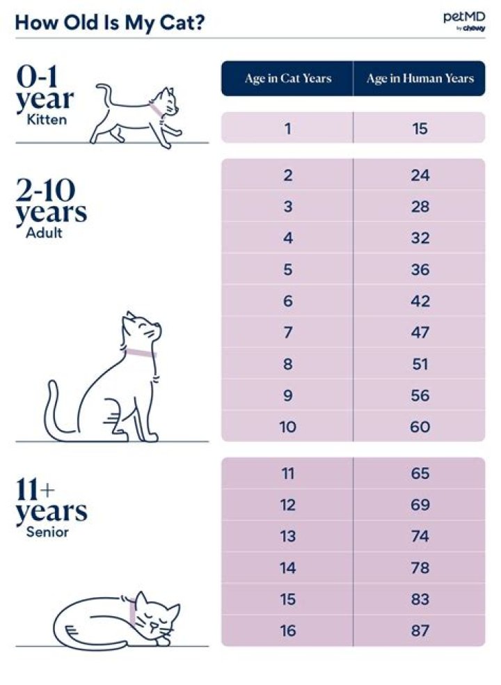 What age is your first job?