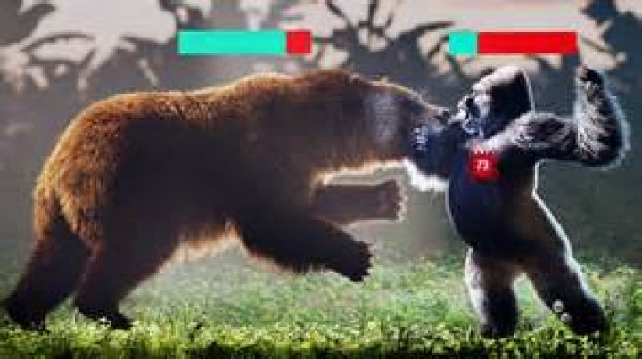 What animal can kill a silverback gorilla?