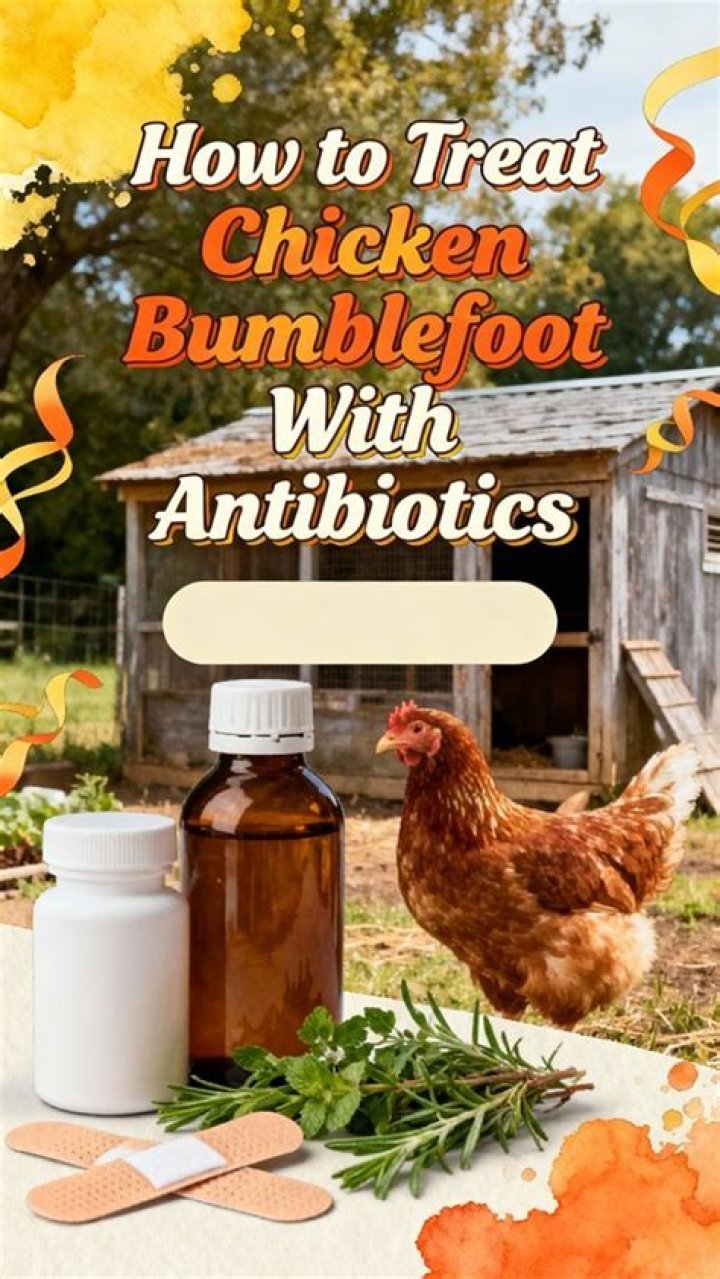 What antibiotic treats bumblefoot?
