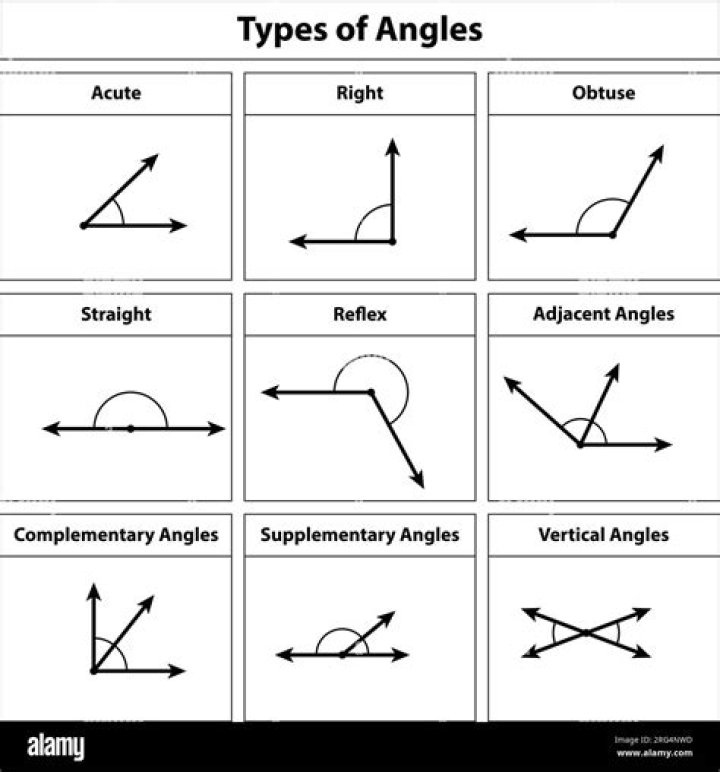 What are different types of angles?