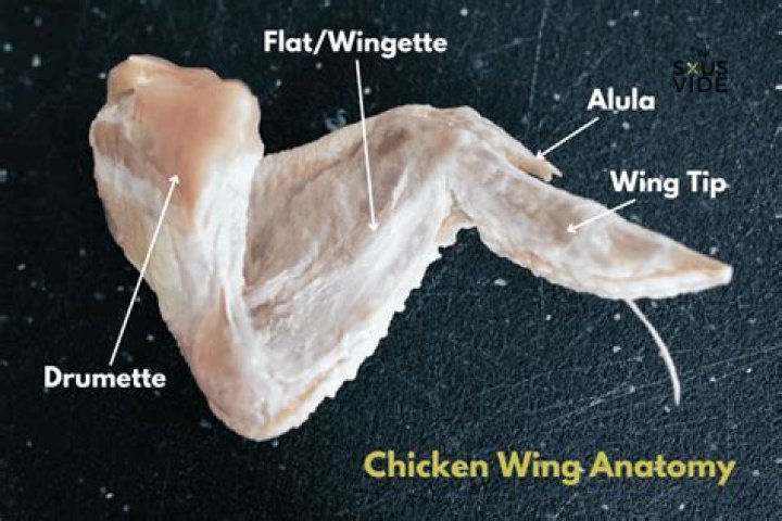 What are drums wings?