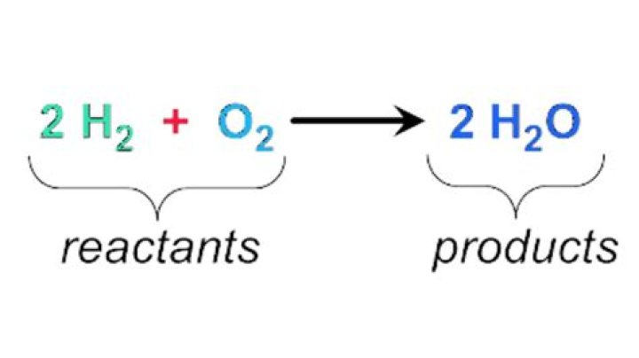 What are examples of reactants?