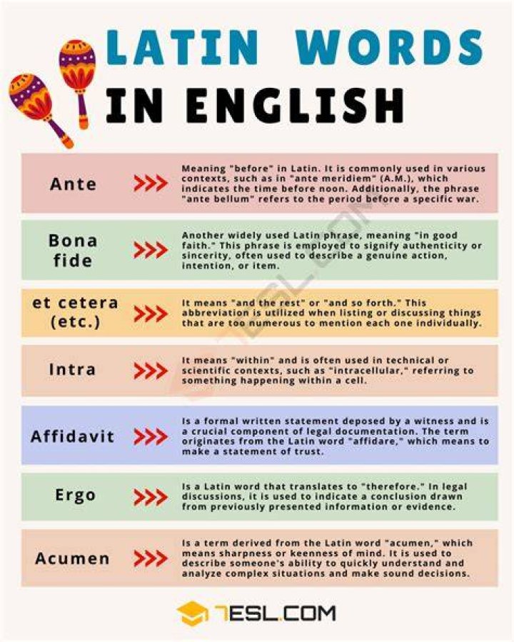 What are Latin terms?