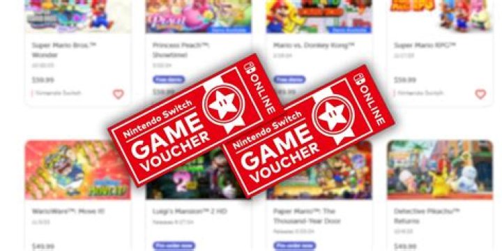 What are Michaels vouchers?